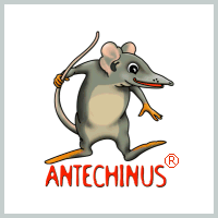 Antechinus j097;vascript Editor - бесплатно скачать на SoftoMania.net Antechinus j097;vascript Editor - бесплатно скачать на SoftoMania.net
